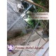 Bingkai atau Frame atau Pigura Cermin Gold Full Kaca Bevel Pesona Mebel Jepara